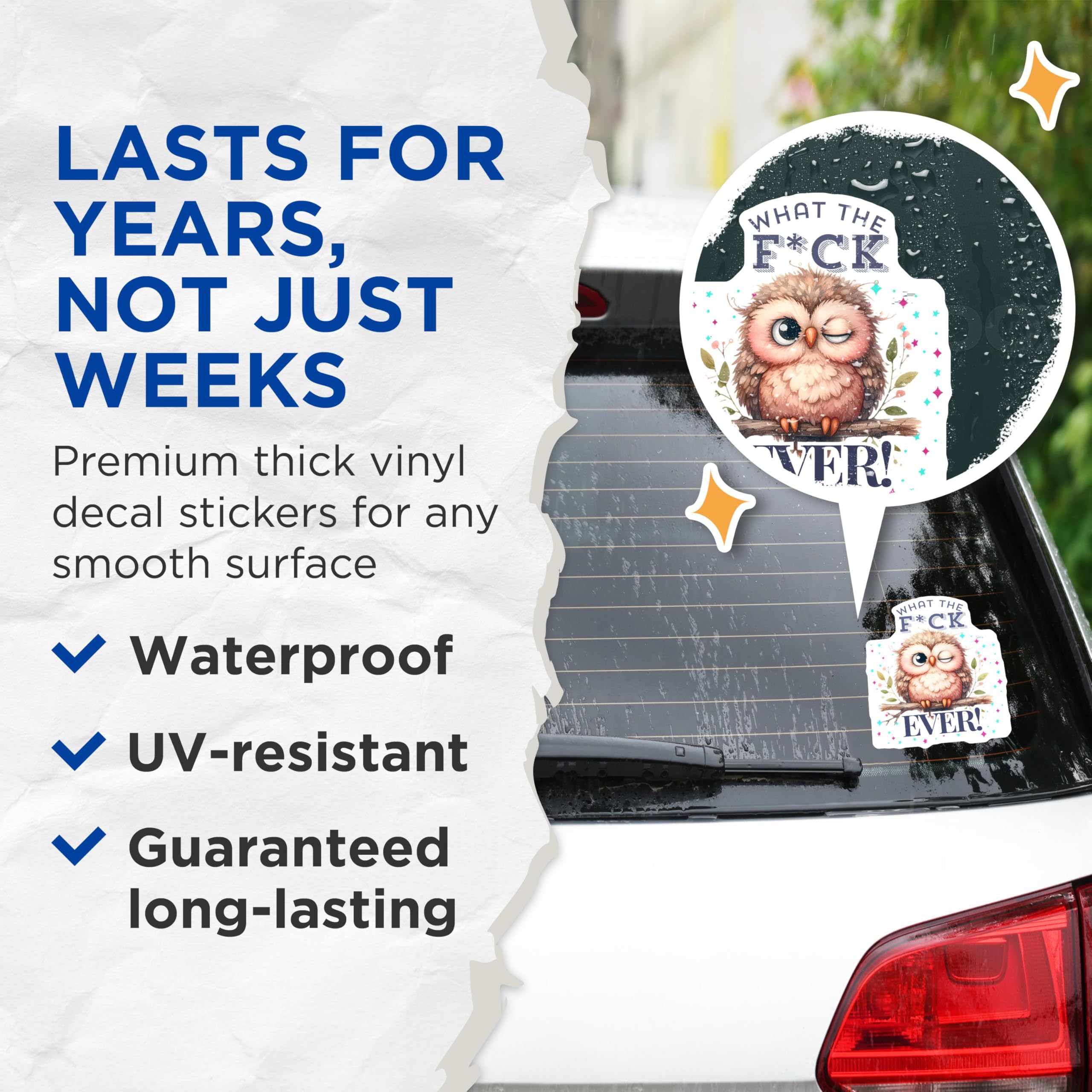 (2 Pack) Funny Owl Stickers - Witty Animal Humor - Cute Swearing Bird Decals - 5" On Longest Side - Sticks to Smooth Flat Surfaces - Made in USA - BMCS5930