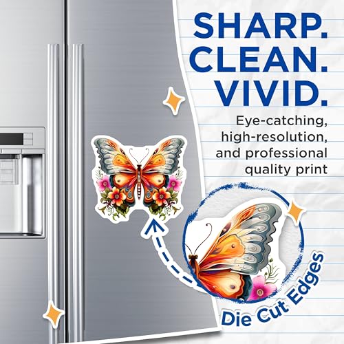 (2 Pack) Butterfly Magnets - Floral Design - Elegant Home ation - Colorful Butterflies - Floral Art Magnets - 5" On Longest Side - for Cars, Fridges, Toolboxes - Made in USA - MAG3695