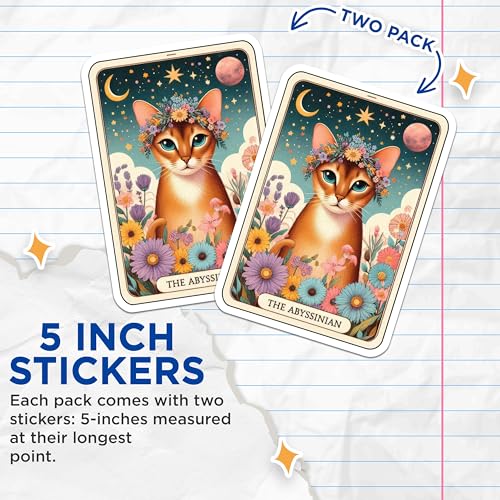 (2 Pack) Abyssinian Cat Stickers - Cute Cat Stickers - Floral Cat Art Stickers - 5" On Longest Side - Sticks to Smooth Flat Surfaces - Made in USA - BMCS4742