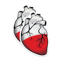 (2 Pack) Anatomical Heart Magnets - Poland Flag Art - Realistic Heart Decor - 5" On Longest Side - Premium Magnet - for Cars, Refrigerators, Toolboxes, Lockers - Made in USA - MAG18118