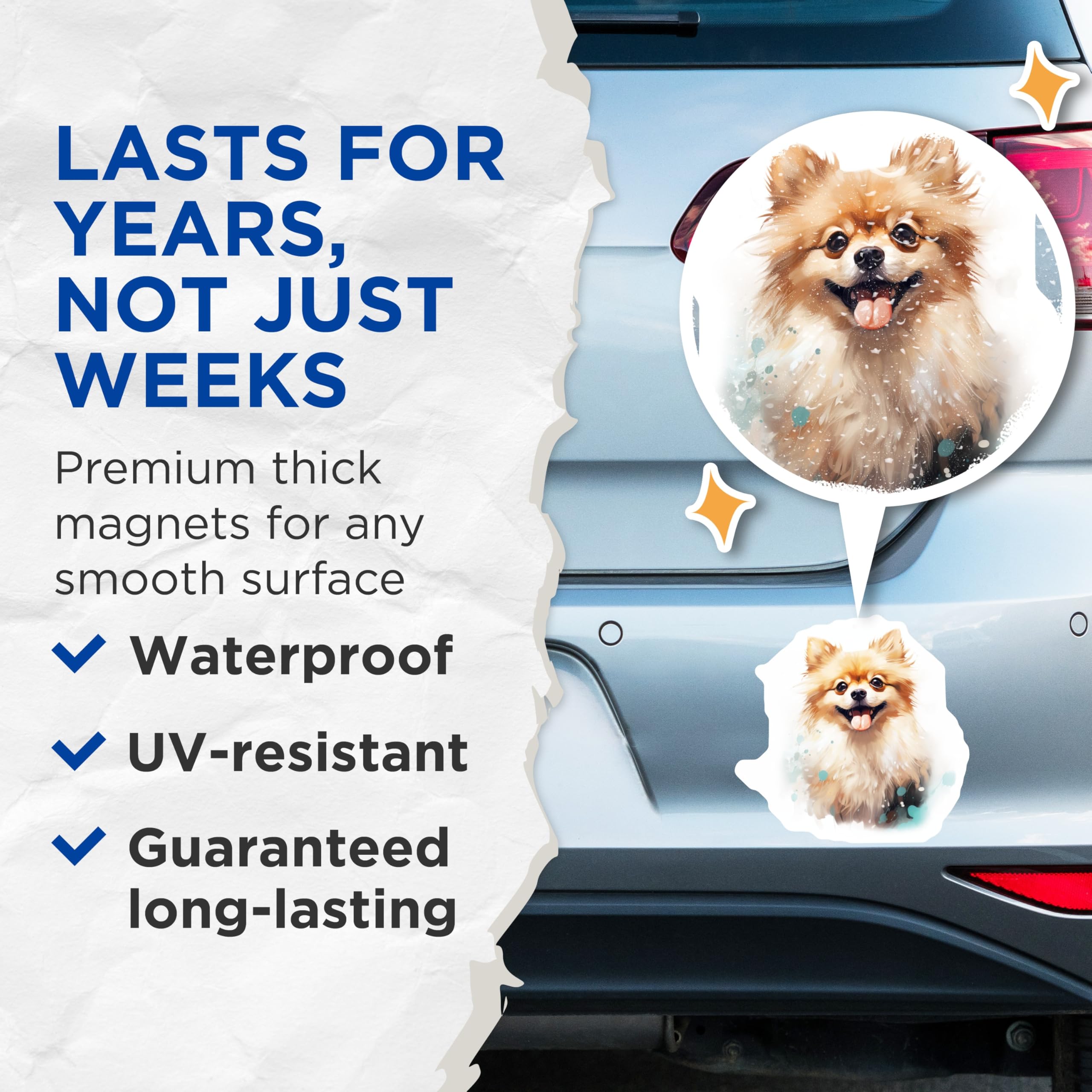(2 Pack) Happy Pomeranian Dog Magnets - Cute Fluffy Pet Art - Dog Lover Fridge Whiteboard Locker Decor - 5 Inches On Longest Side - Thick Durable Magnet - Made in USA - MAG25997