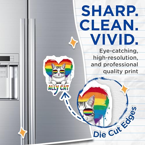 (2 Pack) Rainbow Heart Cat Magnet - 5" On Longest Side - Sticks to Smooth Flat Surfaces - Made in USA - MAG9559