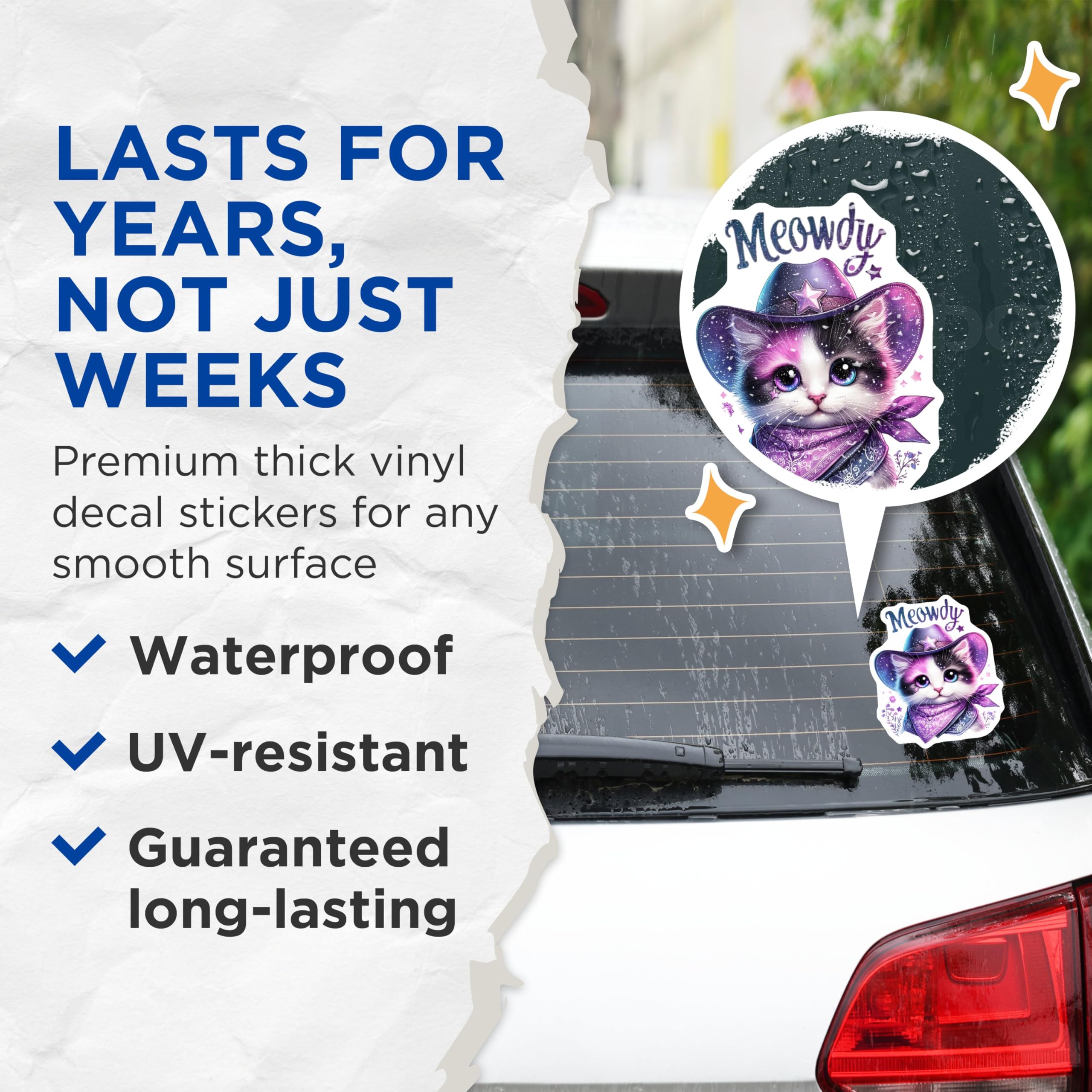 (2 Pack) Meowdy Cat Stickers - Cute Cat Stickers - Animal Lover Decals for Kids and Adults - 5" On Longest Side - Sticks to Smooth Flat Surfaces - Made in USA - BMCS4589