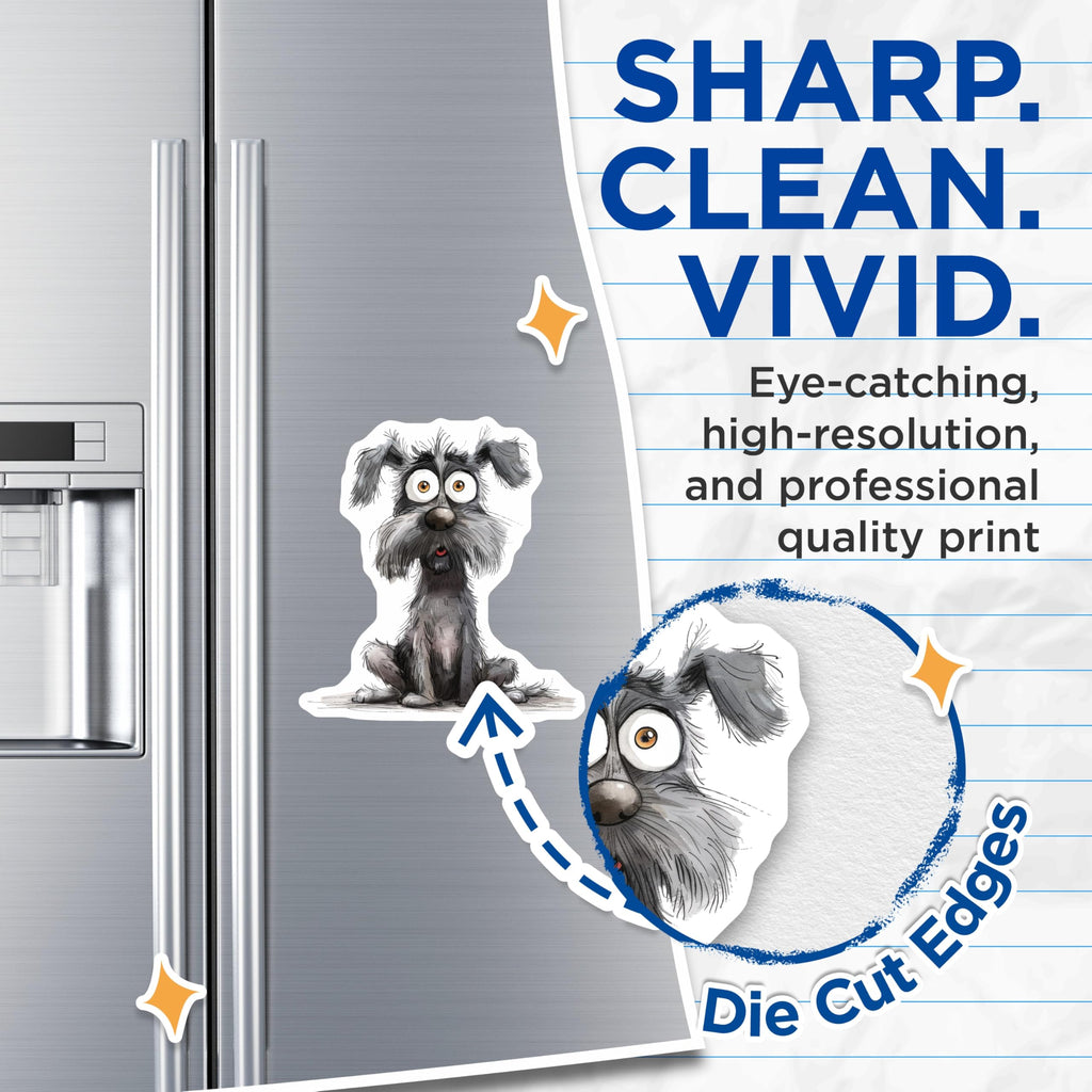 (2 Pack) Shaggy Dog Magnets - Wide Eyed Canine Art - Funny Pet Refrigerator Decor - 5 Inches On Longest Side - Thick Durable Magnet - Made in USA - MAG23656