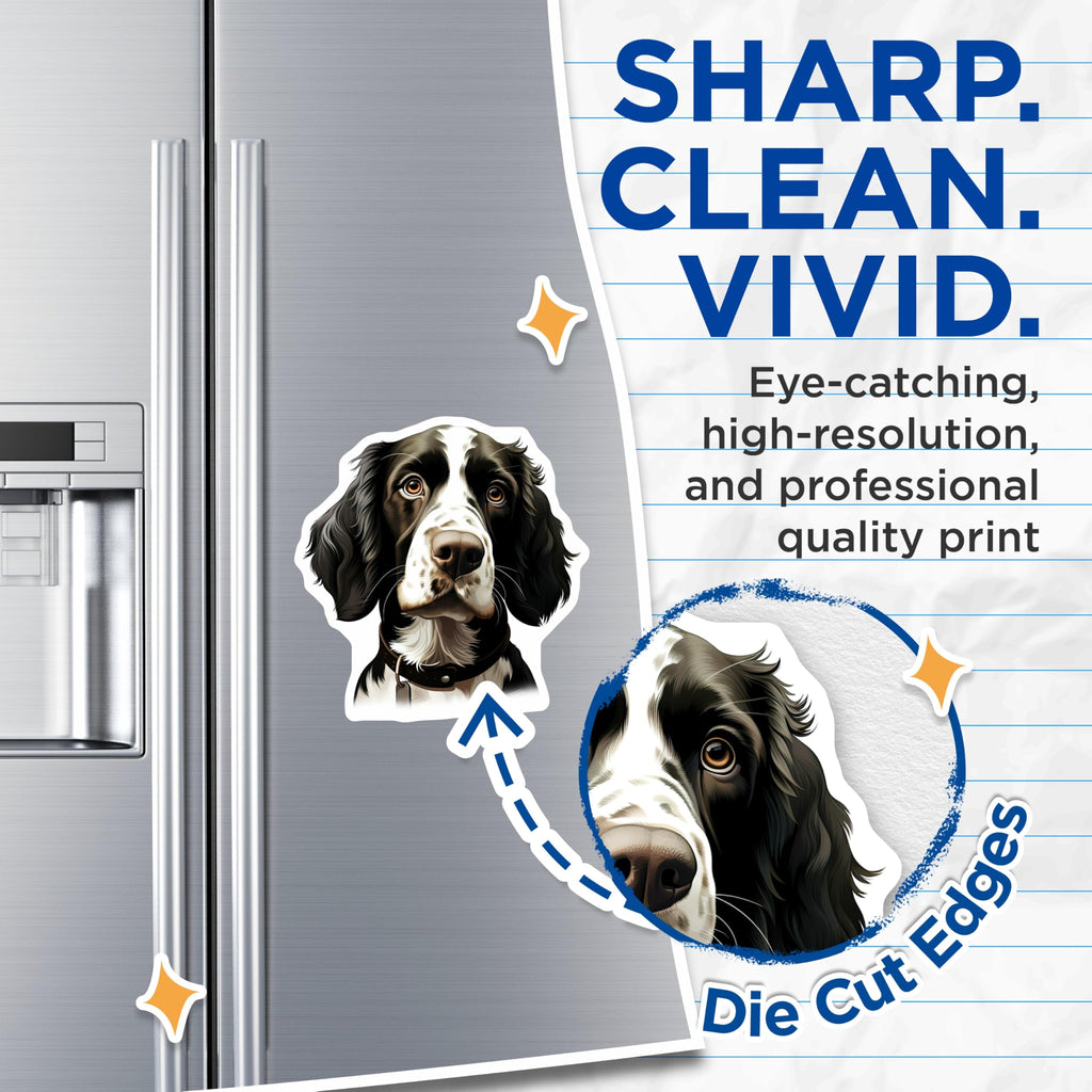 (2 Pack) Springer Spaniel Magnets - Realistic Dog Portrait - Animal Lover Decor - 5 Inches On Longest Side - Thick Durable Magnet - Made in USA - MAG25308