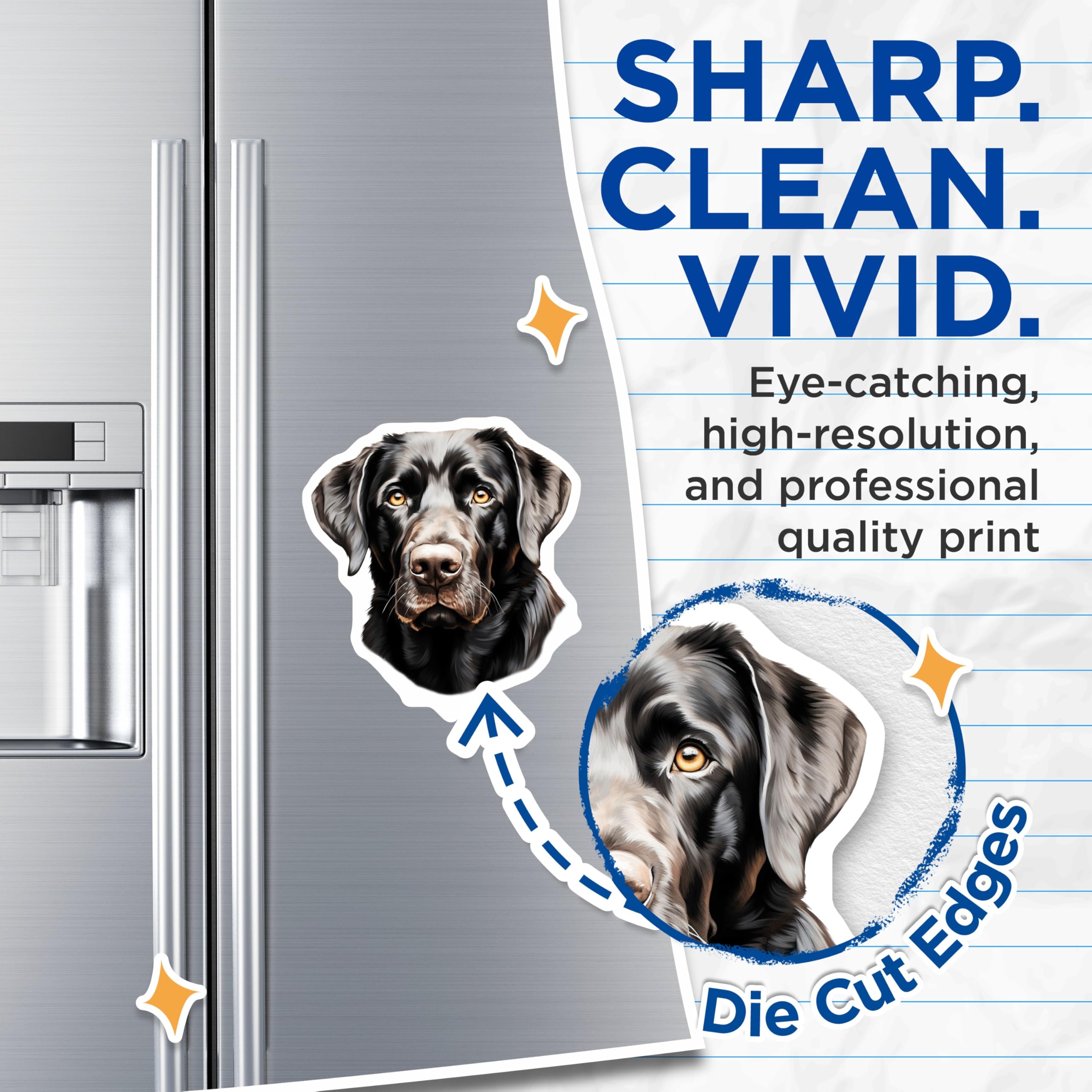 (2 Pack) Black Labrador Magnets - Realistic Dog Art - Pet Lover Refrigerator Decor - Canine Buddy Accessory - 5 Inches On Longest Side - Thick Durable Magnet - Made in USA - MAG26123