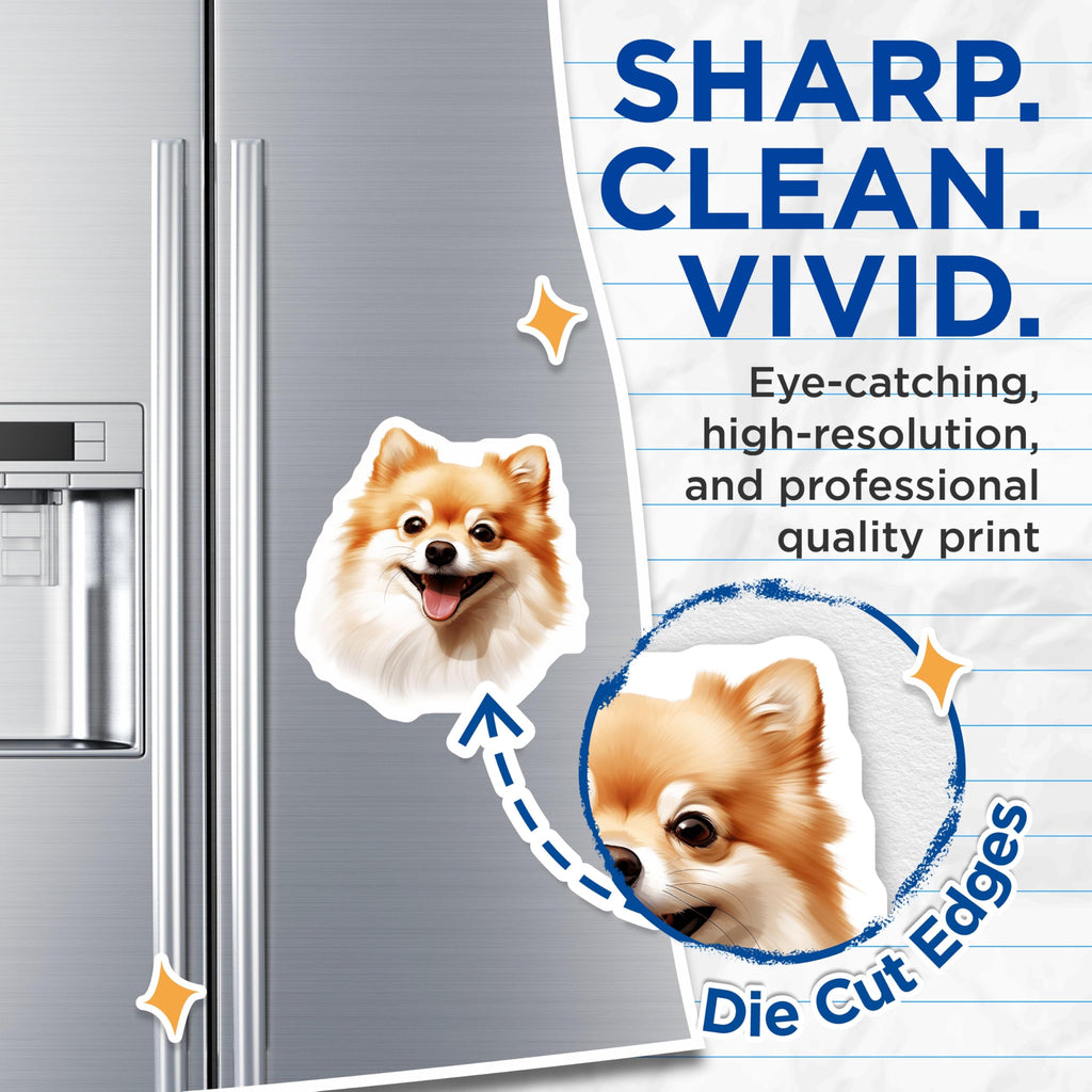 (2 Pack) Pomeranian Dog Magnets - Happy Fluffy Pet Lover - Cute Animal Refrigerator Accent - Dog Mom Dad Home Decor - 5 Inches On Longest Side - Thick Durable Magnet - Made in USA - MAG28083