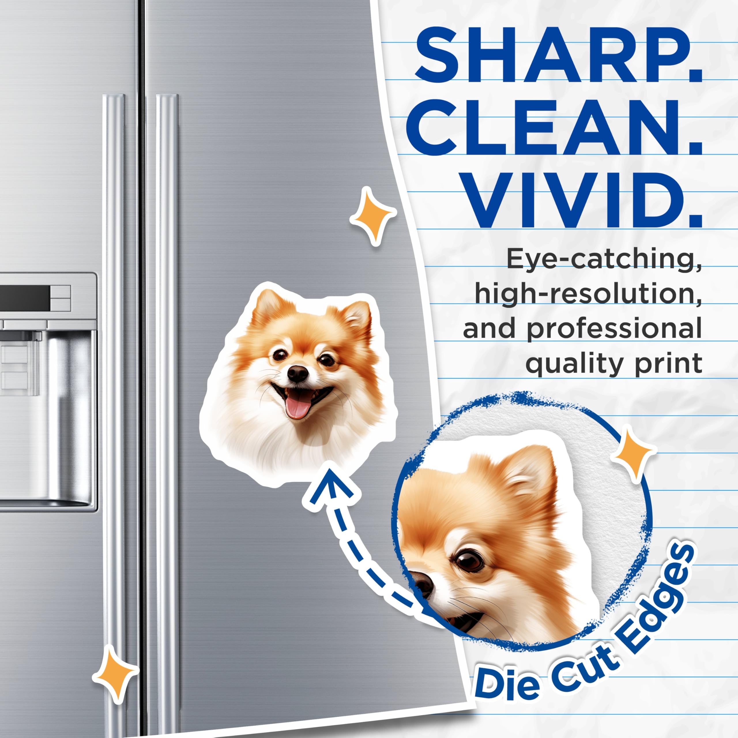 (2 Pack) Pomeranian Dog Magnets - Happy Fluffy Pet Lover - Cute Animal Refrigerator Accent - Dog Mom Dad Home Decor - 5 Inches On Longest Side - Thick Durable Magnet - Made in USA - MAG28083