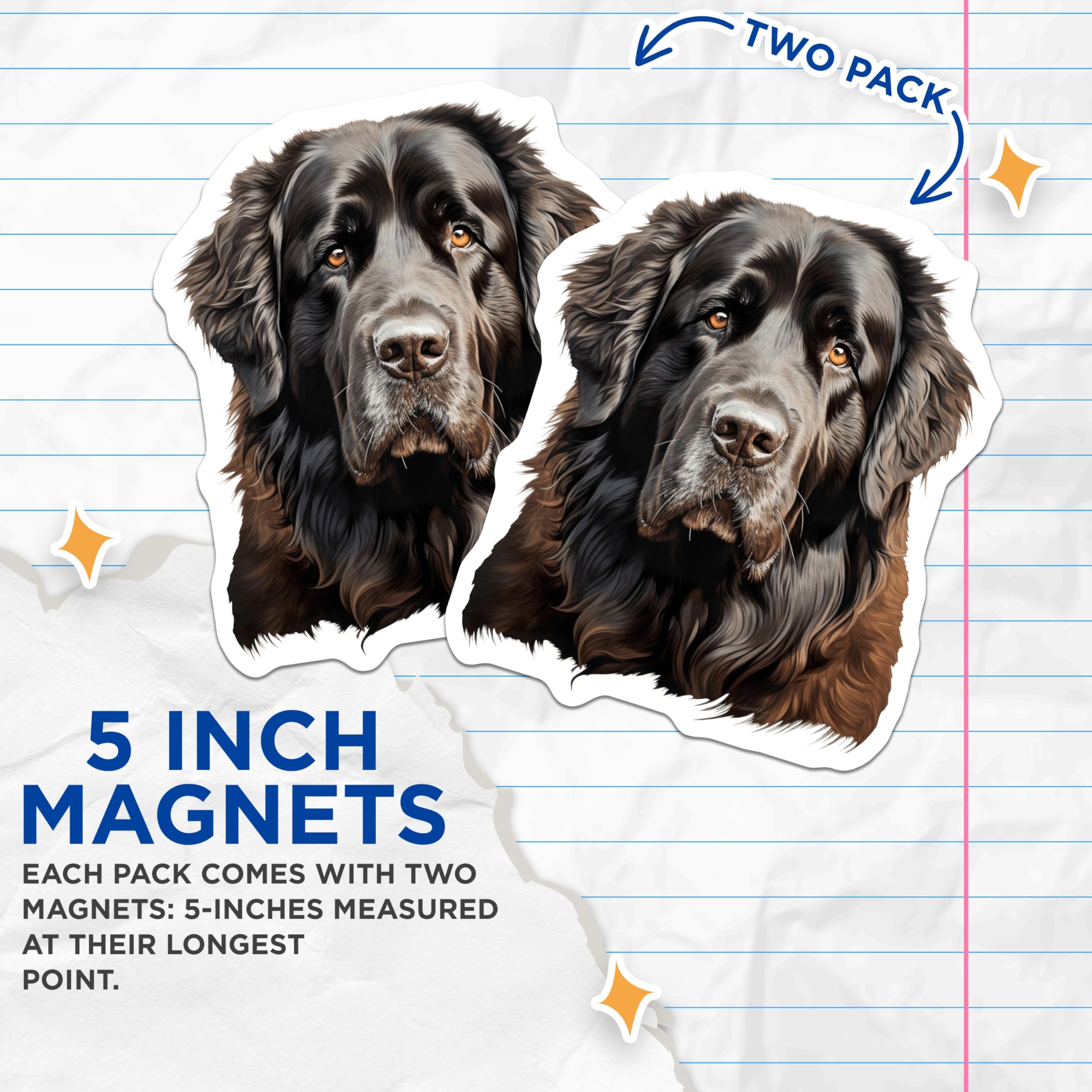(2 Pack) Newfoundland Dog Portrait Magnets - Majestic Black Newfie Art Decor - Large Breed Canine Pet Fridge Accessory - 5 Inches On Longest Side - Thick Durable Magnet - Made in USA - MAG24518