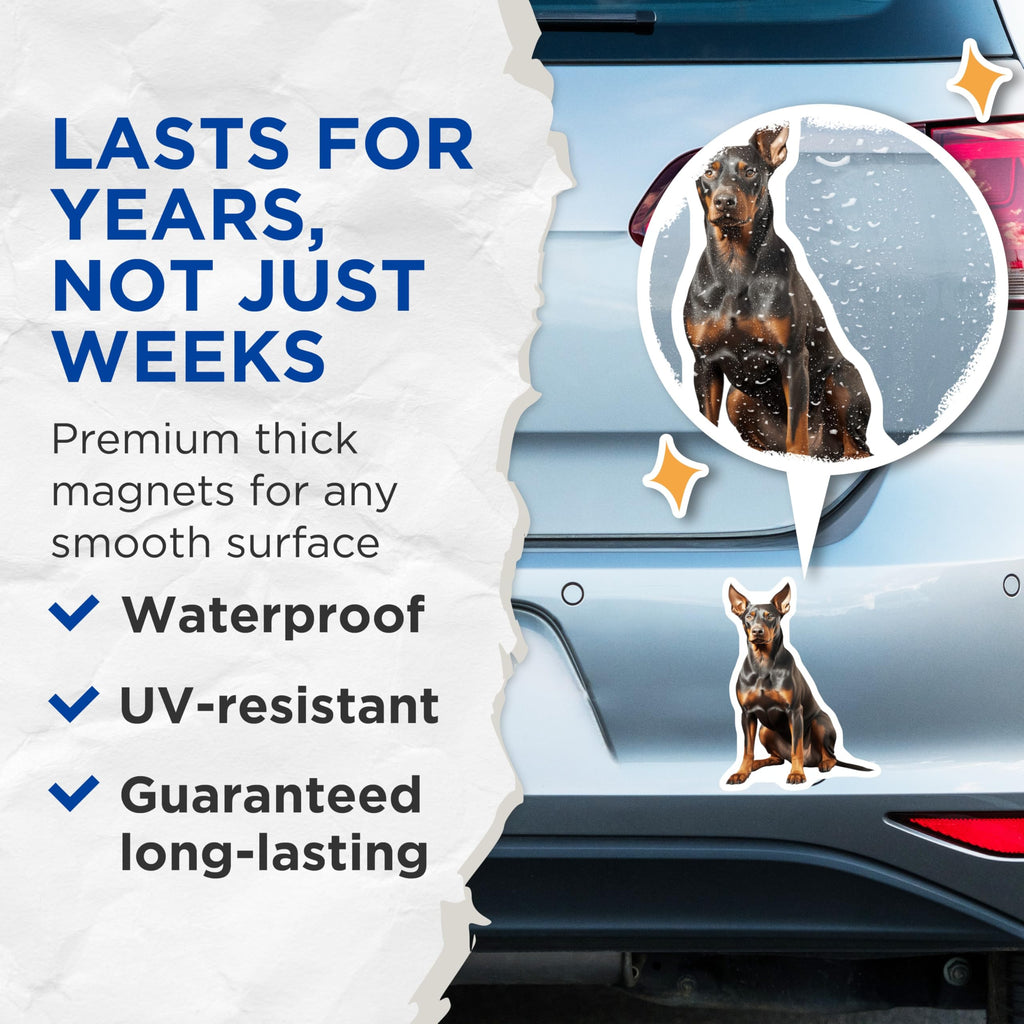 (2 Pack) Doberman Pinscher Dog Magnets - Pet Lover Accessory - Dog Breed Owner Decor - 5 Inches On Longest Side - Thick Durable Magnet - Made in USA - MAG28165