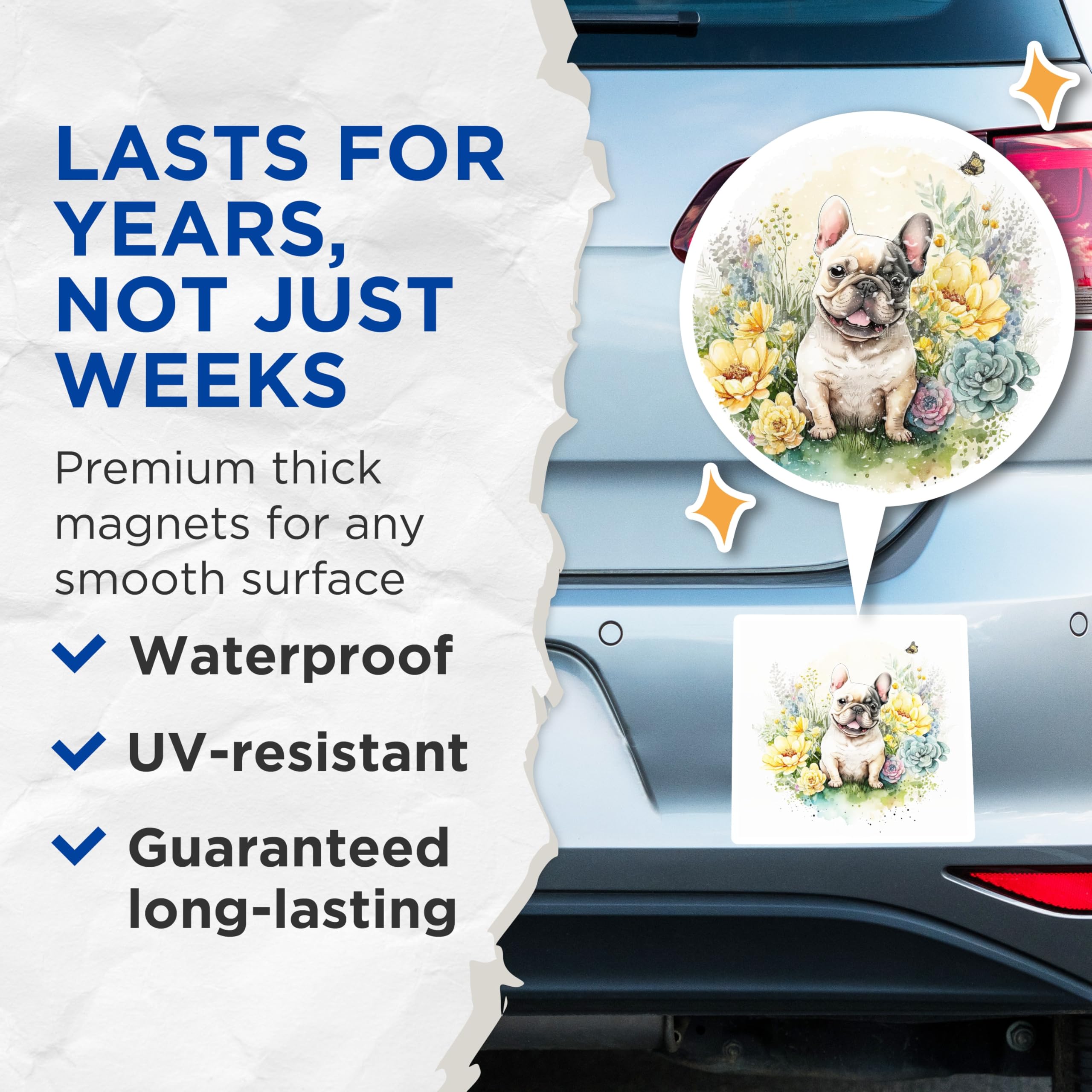 (2 Pack) Bulldog Floral Magnets - Frenchie Dog Art - Refrigerator Magnets - 5" On Longest Side - Premium Magnet - for Cars, Refrigerators, Toolboxes, Lockers - Made in USA - MAG15055