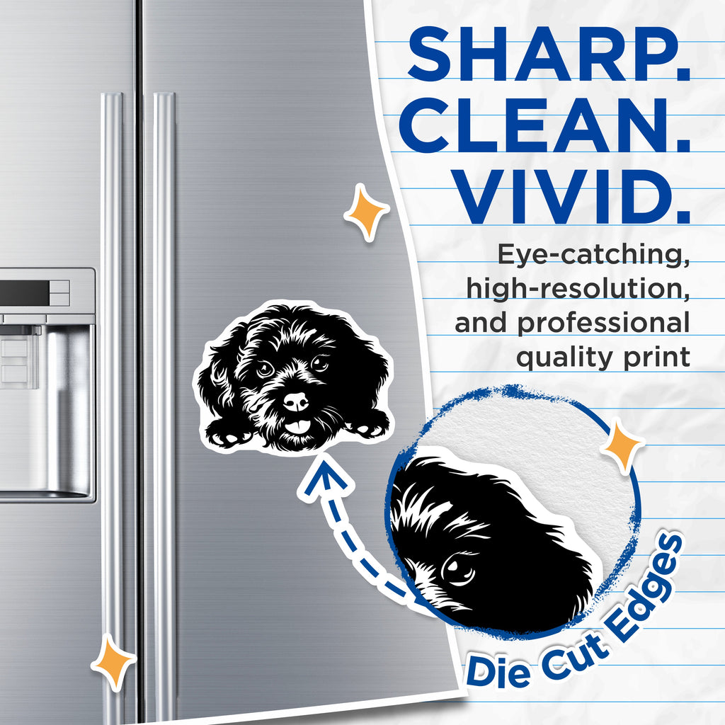 (2 Pack) Fluffy Dog Magnets - Cute Puppy Pet Art - Dog Lover Fridge Decor - Animal Themed Accessories for Dog Parents - 5 Inches On Longest Side - Thick Durable Magnet - Made in USA - MAG39091