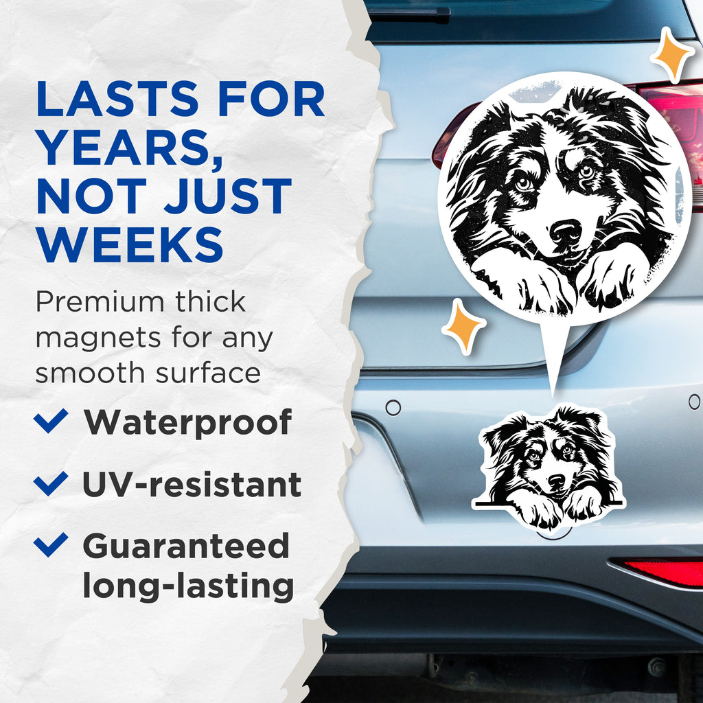(2 Pack) Border Collie Dog Magnets - Australian Shepherd Pet Lover Decor - Dog Mom Fridge Accent - Animal Fan Refrigerator Art - 5" - Thick Durable Magnet - Made in USA - MAG39723