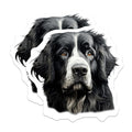 (2 Pack) Bernese Mountain Dog Magnets - Dog Lover Decor - Pet Owner Accessory - 5 Inches On Longest Side - Thick Durable Magnet - Made in USA - MAG30481