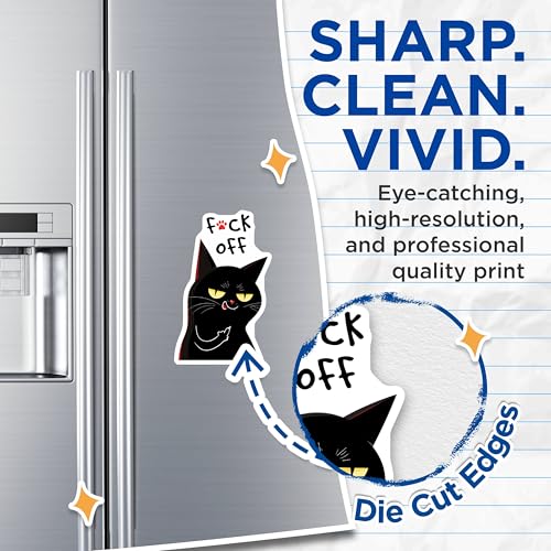 (2 Pack) Funny Cat Magnets - Sassy Decor - Humorous Gifts - 5" On Longest Side - for Cars, Fridges, Toolboxes - Made in USA - MAG7828