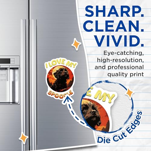 (2 Pack) I Love My Spoodle Magnets - Dog Lover Fridge - Pet Owner Refrig ation - 5" On Longest Side - for Cars, Fridges, Toolboxes - Made in USA - MAG4098