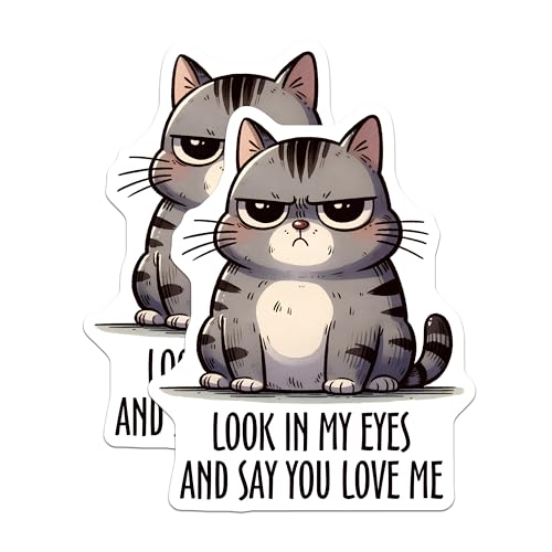(2 Pack) Look in My Eyes Cat Magnets - Funny Cat Quote Magnets - Animal Lover Magnets - 5" On Longest Side - for Cars, Refrigerators, Toolboxes, Lockers - Made in USA BMCS3129