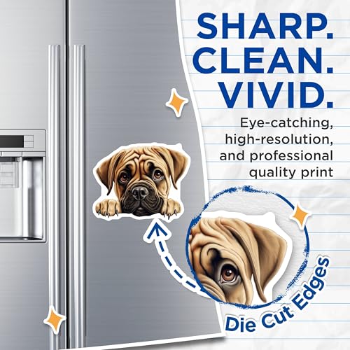 (2 Pack) Animal Lover Magnet - Decorative Fridge - 5" On Longest Side - Sticks to Smooth Flat Surfaces - Made in USA - MAG9894