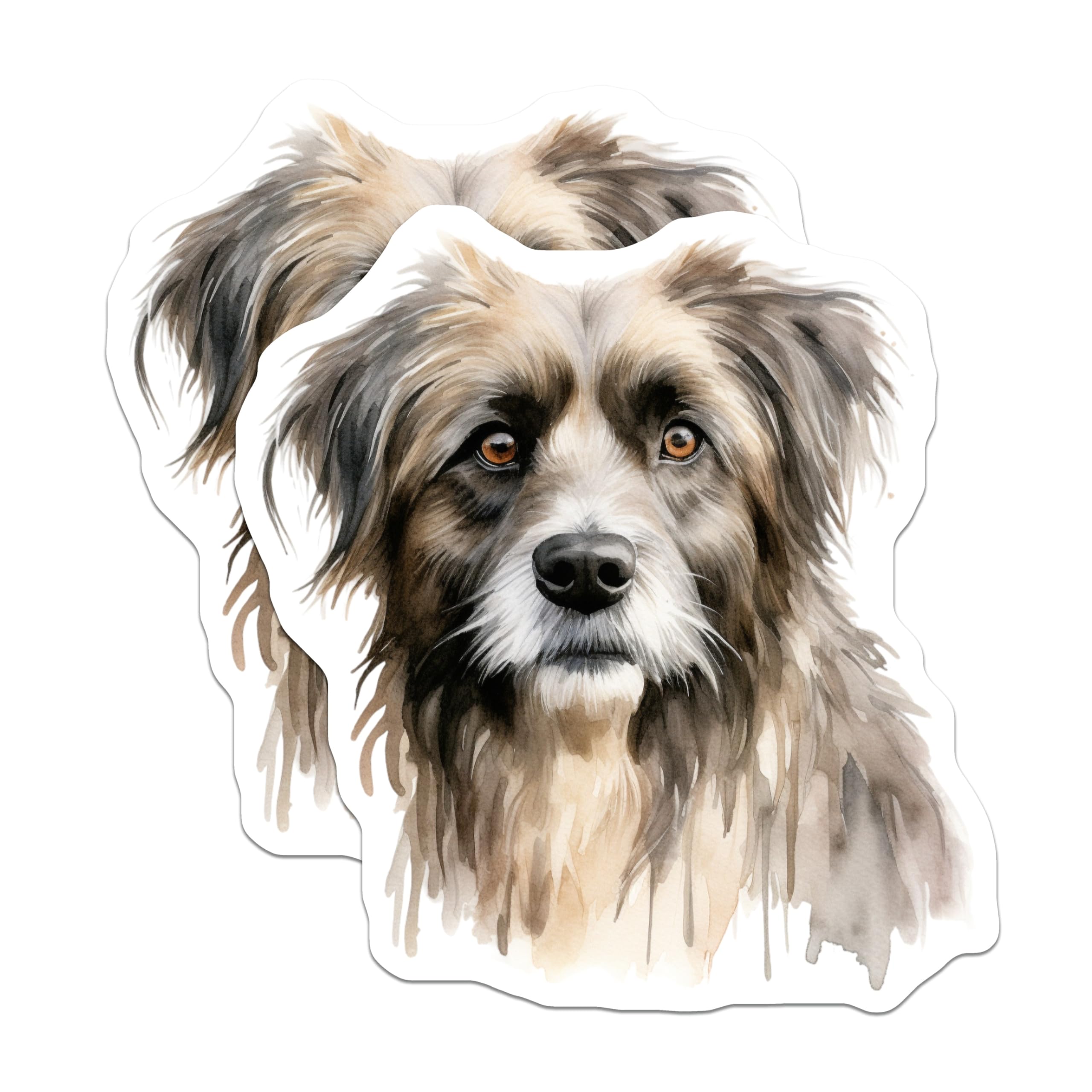 (2 Pack) Watercolor Dog Magnets - Shaggy Puppy Art - Pet Lover Kitchen Decor - Dog Mom Dad Present - Fridge Locker Magnet - 5 Inches On Longest Side - Thick Durable Magnet - Made in USA - MAG28686