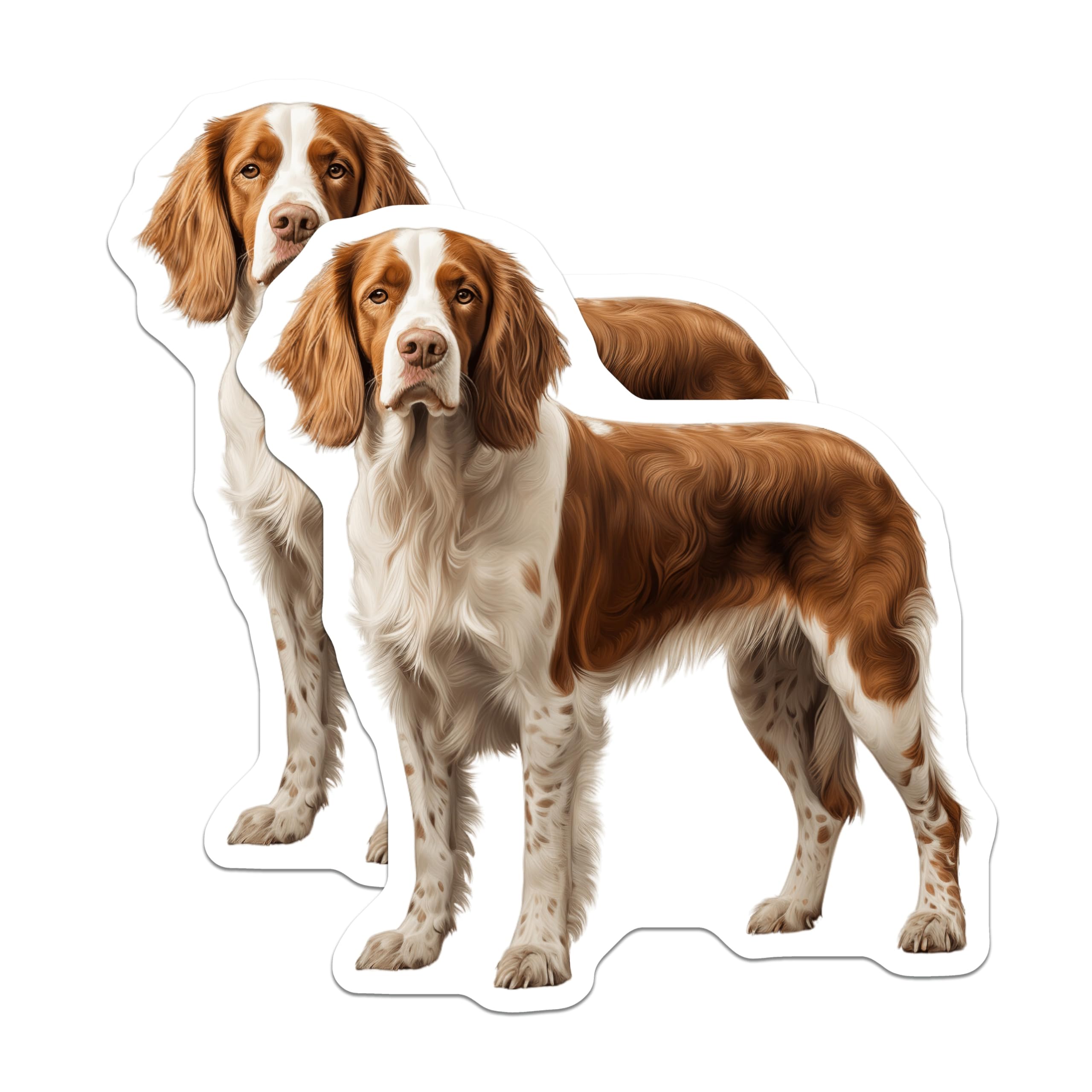 (2 Pack) Welsh Springer Spaniel Magnets - Dog Lover Refrigerator Decor - Pet Owner Kitchen Art - 5 Inches On Longest Side - Thick Durable Magnet - Made in USA - MAG26211