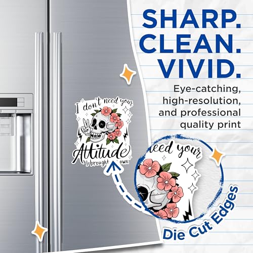 (2 Pack) Skull Attitude Magnets - Funny Floral Skull Magnets - Inspirational Quote Magnets- 5" On Longest Side - for Fridges, Toolboxes, Cars - Made in USA - MAG2556