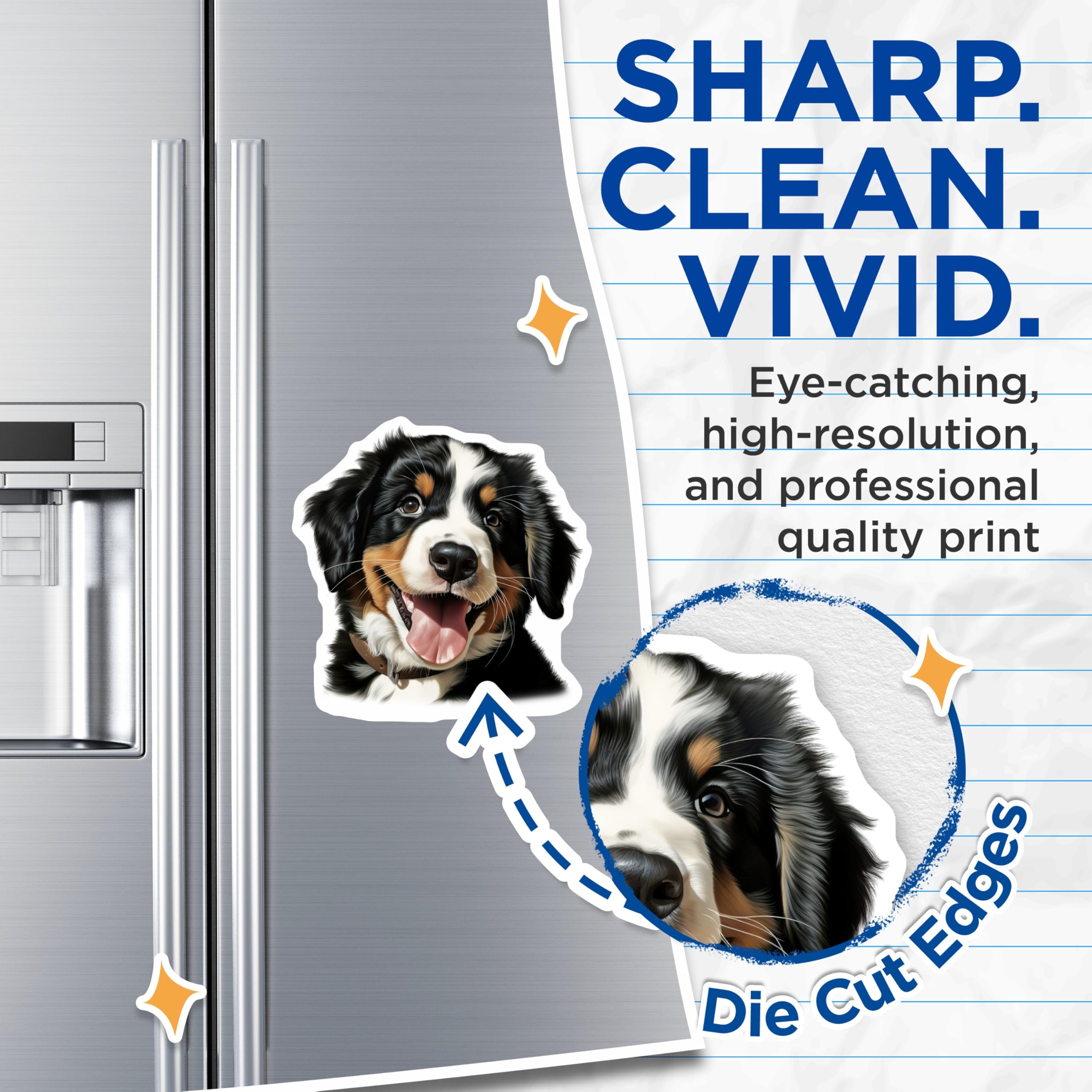 (2 Pack) Bernese Mountain Dog Magnets - Cute Puppy Fridge Decor - Dog Owner Animal Art - 5 Inches On Longest Side - Thick Durable Magnet - Made in USA - MAG26068
