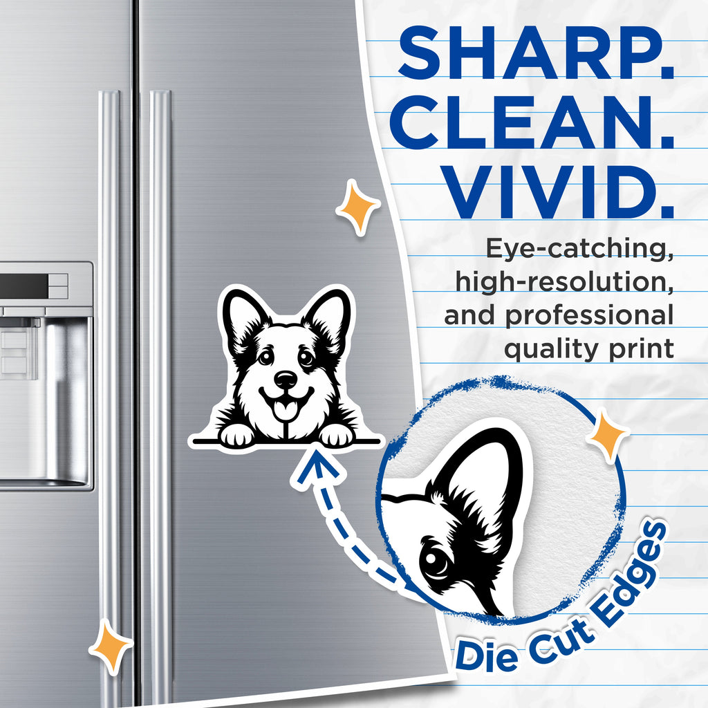 (2 Pack) Corgi Dog Magnets - Cute Puppy Fridge Locker Decor - Pet Owner Animal Lover Accent - 5 Inches On Longest Side - Thick Durable Magnet - Made in USA - MAG38836