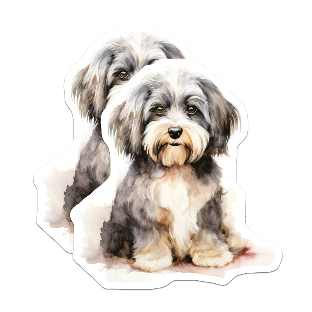 (2 Pack) Watercolor Havanese Dog Magnets - Fluffy Puppy Pet Lover - Cute Animal Art Decor - 5 Inches On Longest Side - Thick Durable Magnet - Made in USA - MAG25759