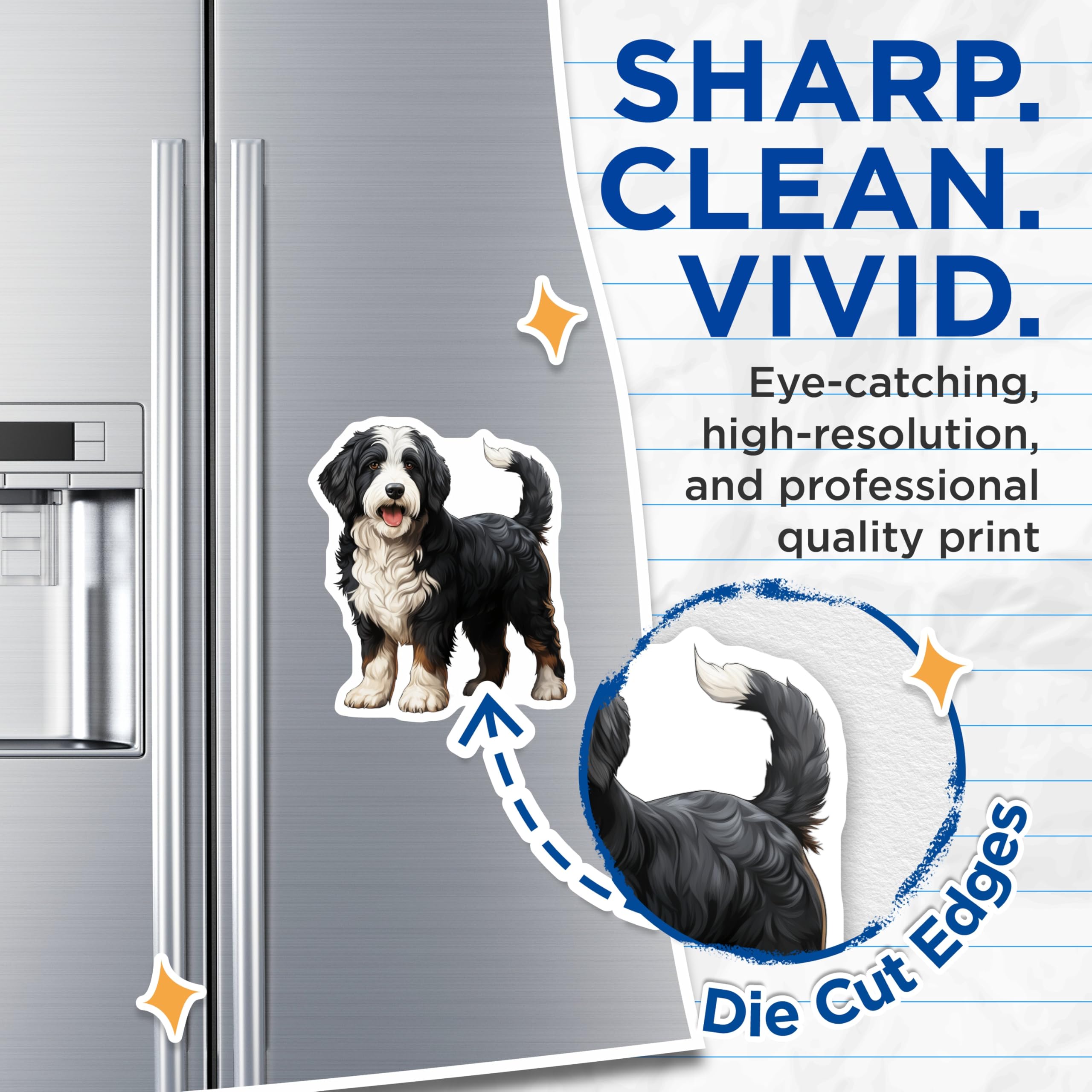 (2 Pack) Bernese Mountain Dog Magnets - Bernedoodle Dog Lover - Fridge Decor Accessory - 5 Inches On Longest Side - Thick Durable Magnet - Made in USA - MAG26190