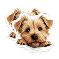 (2 Pack) Puppy Illustration Magnet - 5" On Longest Side - Sticks to Smooth Flat Surfaces - Made in USA - MAG10234