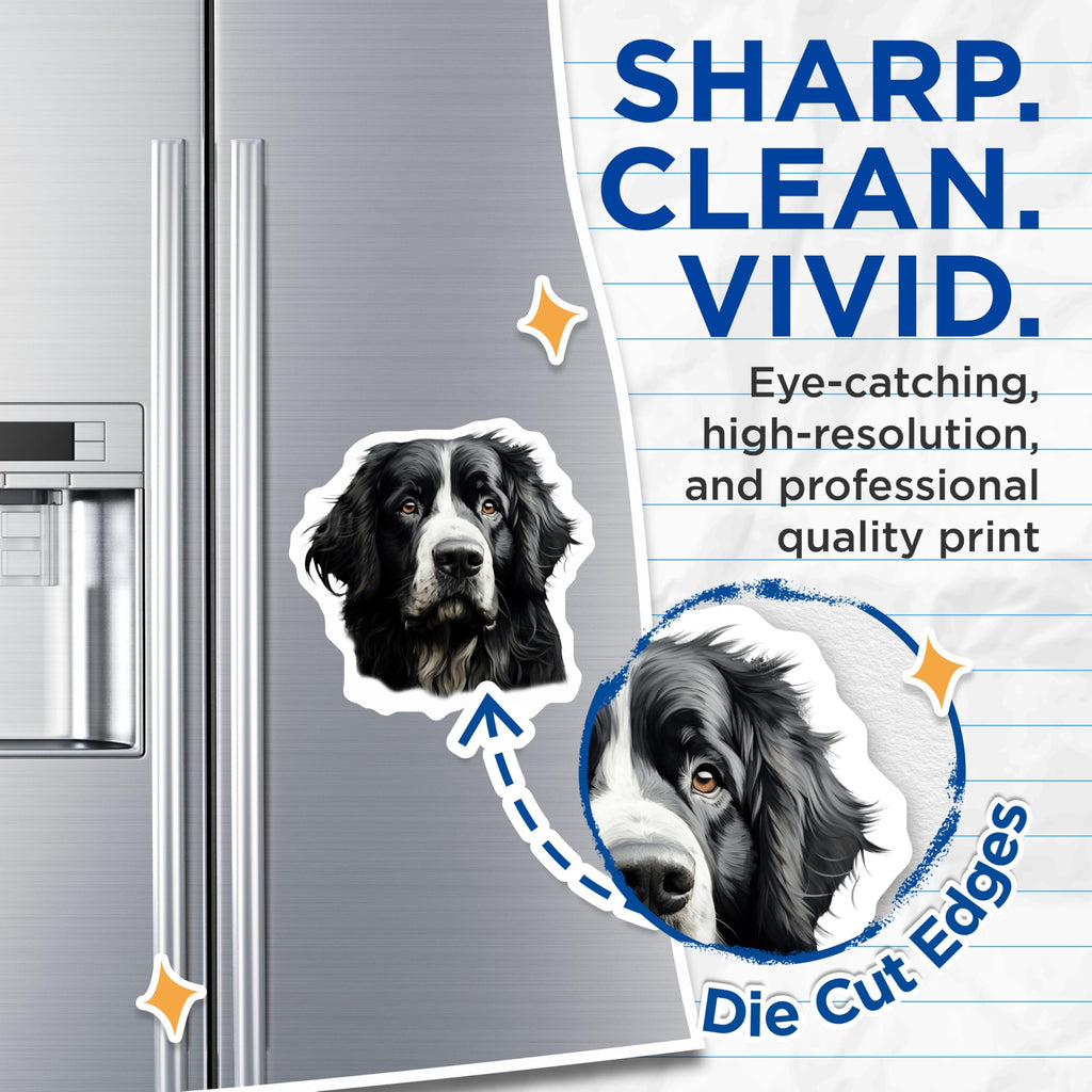 (2 Pack) Bernese Mountain Dog Magnets - Dog Lover Decor - Pet Owner Accessory - 5 Inches On Longest Side - Thick Durable Magnet - Made in USA - MAG30481