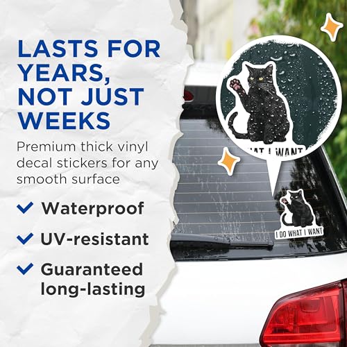 (2 Pack) Cat Attitude Stickers - I Do What I Want - 5" On Longest Side - Sticks to Smooth Flat Surfaces - Made in USA - BMCS8892 - BMCS8892