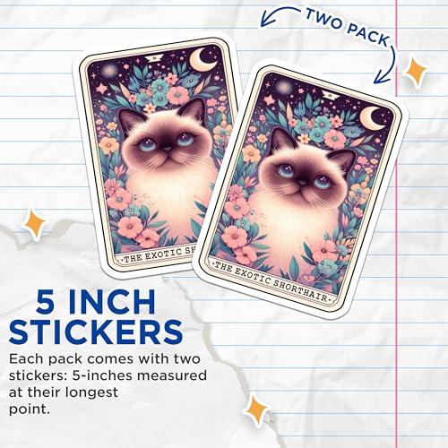 (2 Pack) Exotic Shorthair Cat Art Stickers - Cute Cat Stickers - Floral Cat Design Stickers - 5" On Longest Side - Sticks to Smooth Flat Surfaces - Made in USA - BMCS4862