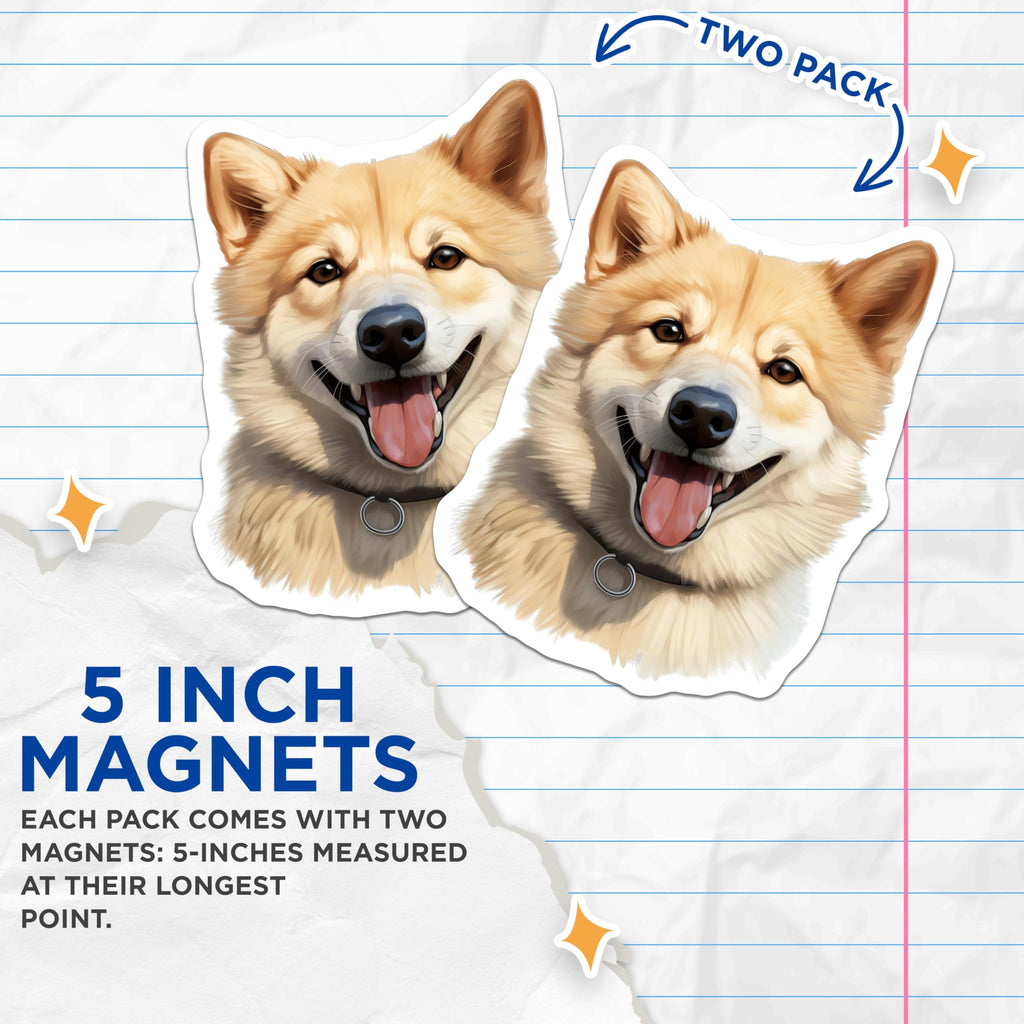 (2 Pack) Shiba Inu Magnets - Smiling Fluffy Dog - Pet Lover Fridge Decor - Dog Owner Car Accessory - Happy Canine Kitchen Art - 5 Inches On Longest Side - Thick Durable Magnet - Made in USA - MAG29822