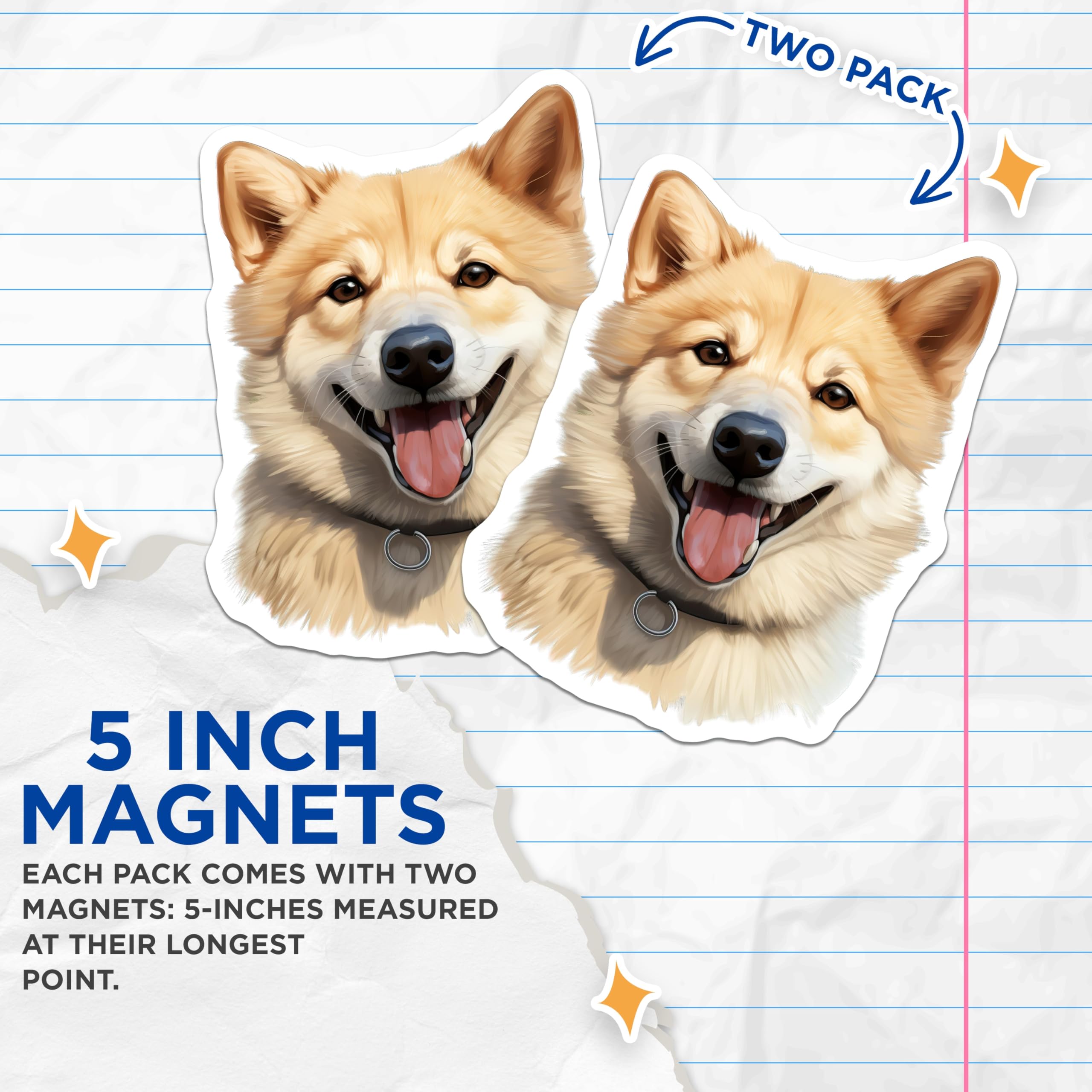 (2 Pack) Shiba Inu Magnets - Smiling Fluffy Dog - Pet Lover Fridge Decor - Dog Owner Car Accessory - Happy Canine Kitchen Art - 5 Inches On Longest Side - Thick Durable Magnet - Made in USA - MAG29822
