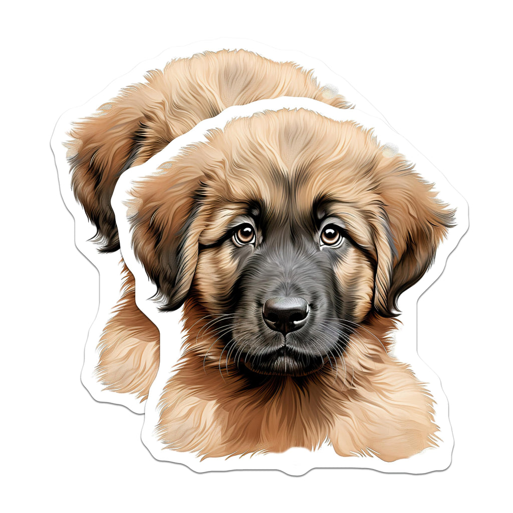 (2 Pack) Adorable Puppy Magnets - Fluffy Dog Art - Pet Lover Refrigerator Decor - Cute Canine Home Accent - 5 Inches On Longest Side - Thick Durable Magnet - Made in USA - MAG24151