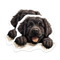 (2 Pack) Black Dog Art Magnet - Animal Refrigerator Decor - 5" On Longest Side - Sticks to Smooth Flat Surfaces - Made in USA - MAG10233