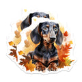 (2 Pack) Dachshund Magnets - Autumn Dog Decor - Fall Weenie Dog Art - Watercolor Pet Lover - Doxie Fridge Accent - 5 Inches On Longest Side - Thick Durable Magnet - Made in USA - MAG30219