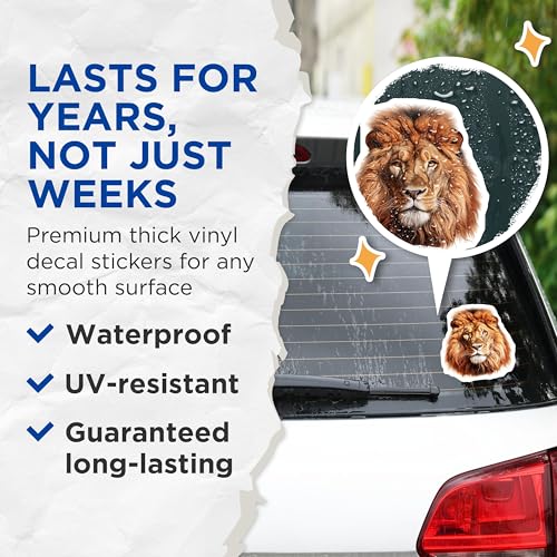 (2 Pack) Lion Face Art Stickers - Wild Animal Decal - Big Cat Sticker for Water Bottles - 5" On Longest Side - Sticks to Smooth Flat Surfaces - Made in USA - BMCS4265