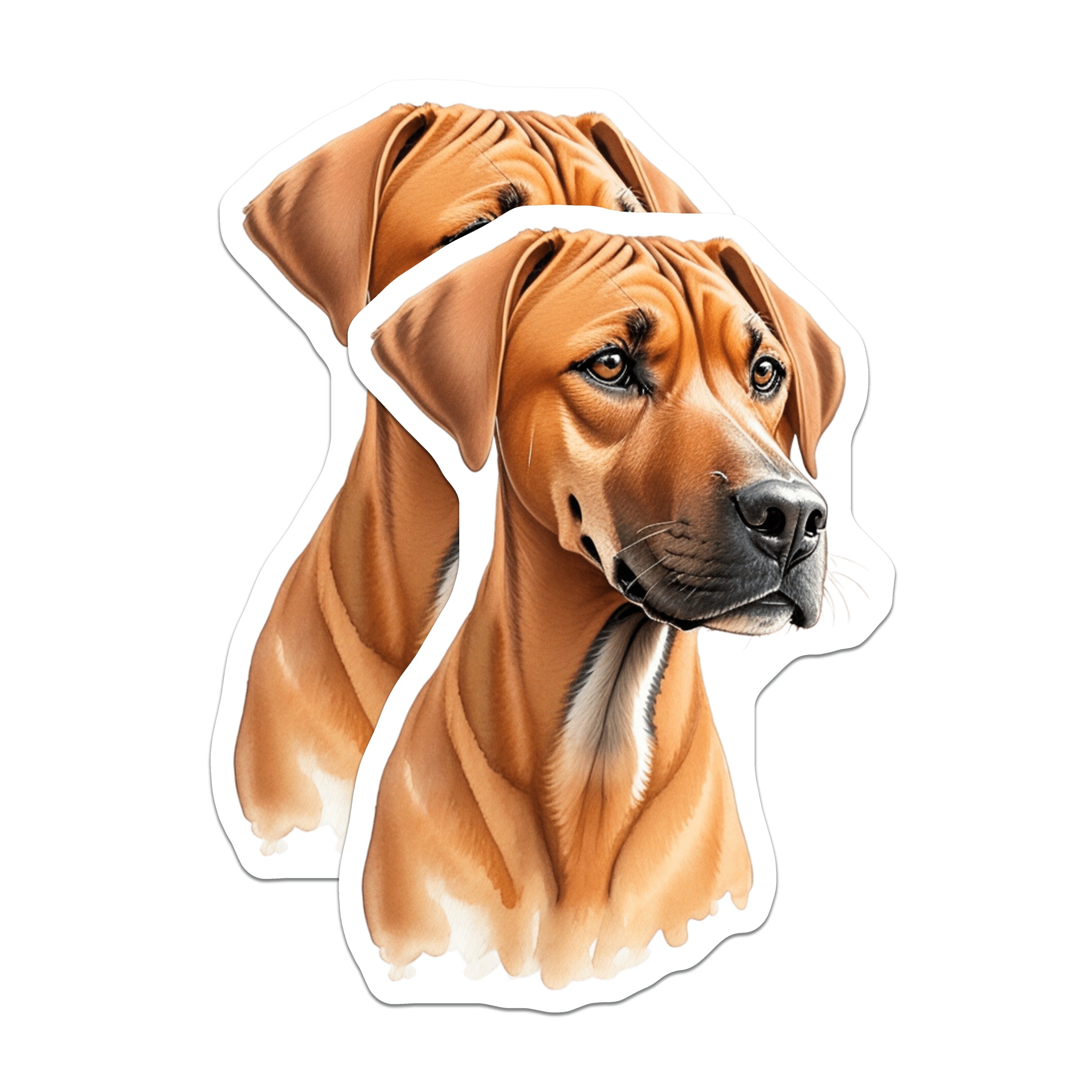 (2 Pack) Rhodesian Ridgeback Dog Magnets - Pet Portrait - Dog Breed Art - 5 Inches On Longest Side - Thick Durable Magnet - Made in USA - MAG39093