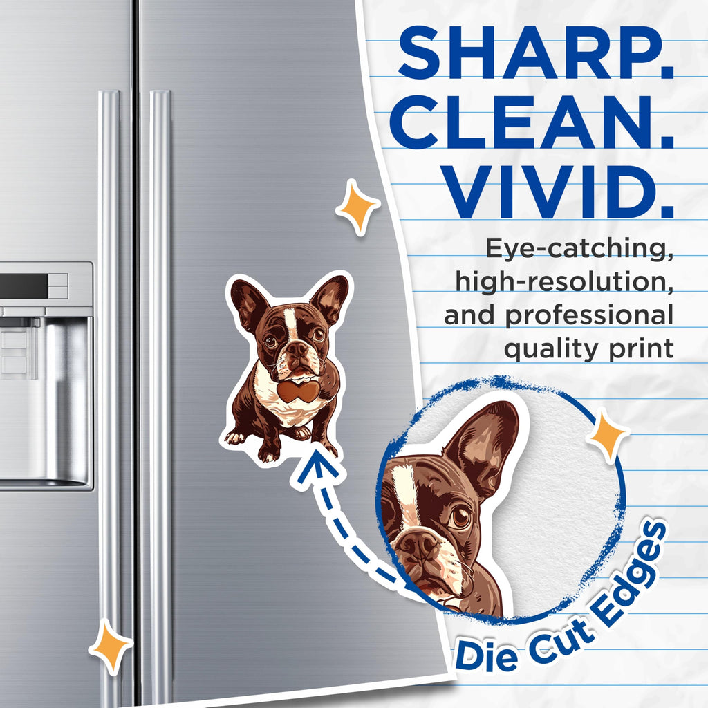 (2 Pack) French Bulldog Magnets - Dog Breed Art - Unique Pet Lover Decor - 5" On Longest Side - Premium Magnet - for Cars, Refrigerators, Toolboxes, Lockers - Made in USA - MAG17085