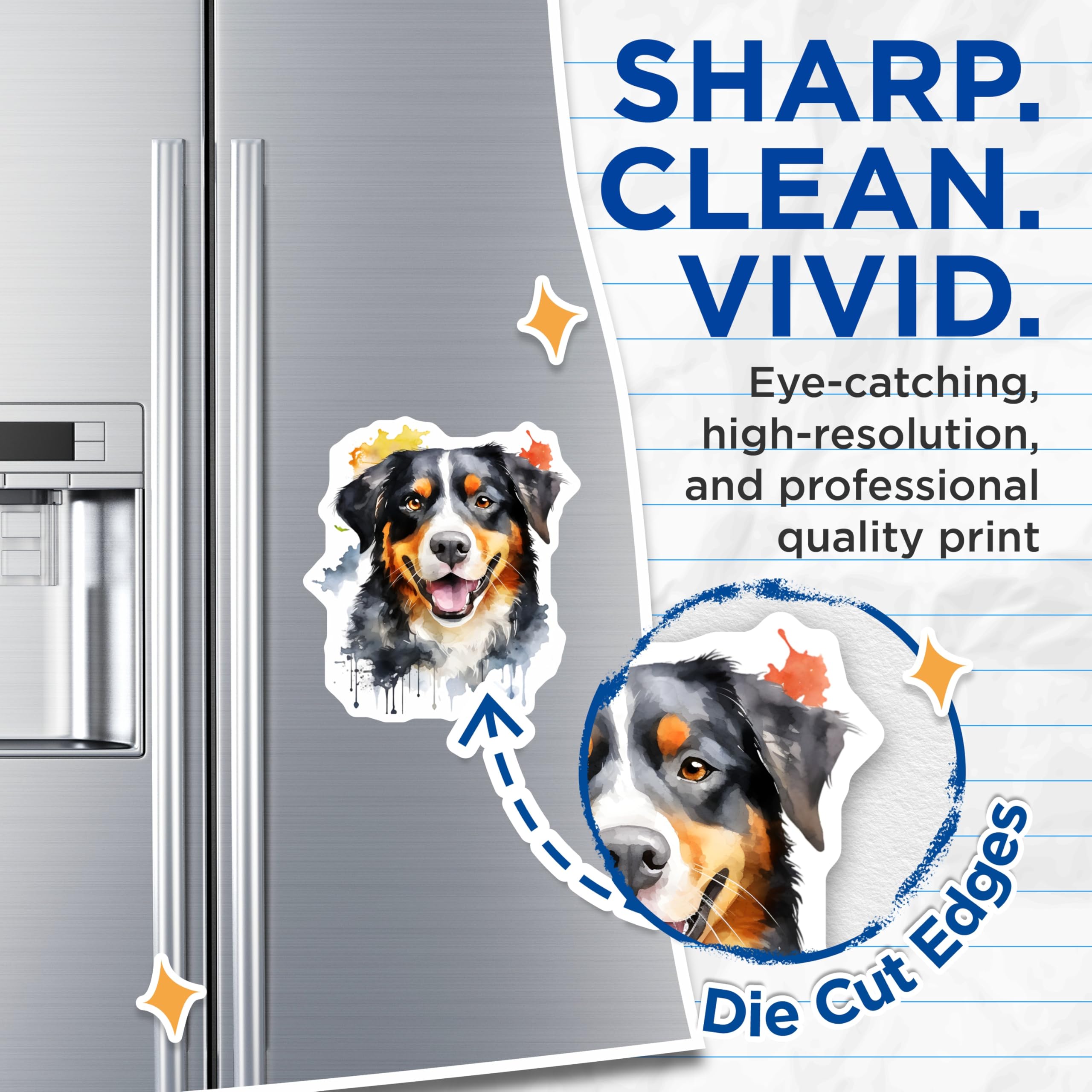 (2 Pack) Bernese Mountain Dog Magnets - Watercolor Dog Art - Pet Lover Home Decor - 5 Inches On Longest Side - Thick Durable Magnet - Made in USA - MAG24613
