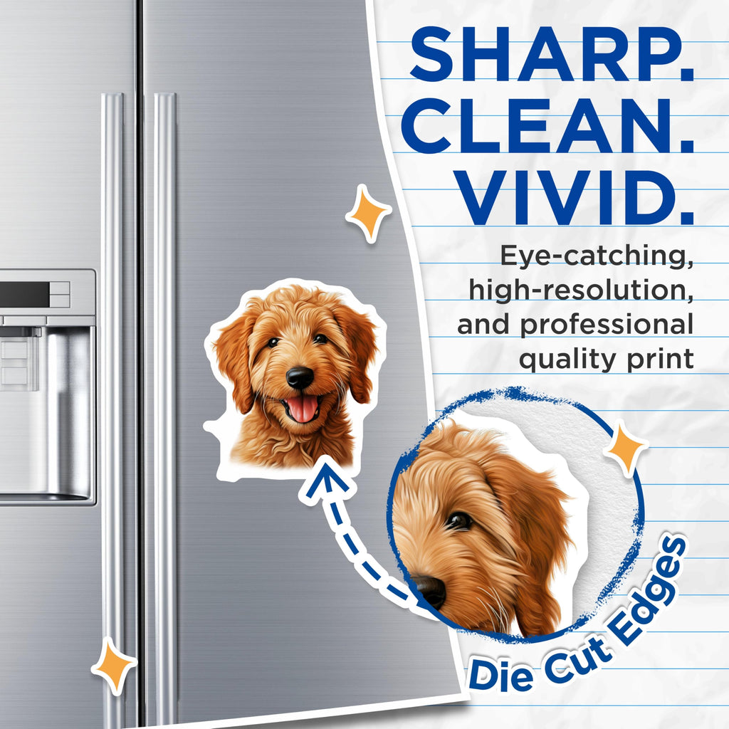 (2 Pack) Goldendoodle Puppy Magnets - Dog Lover Decor - Pet Owner Accessories - 5 Inches On Longest Side - Thick Durable Magnet - Made in USA - MAG25814