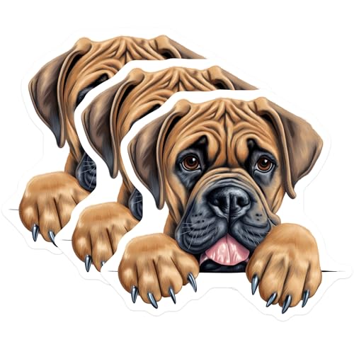(3 Pack) Bullmastiff Decals - Puppy Dog Stickers - Adorable Dog Breed - 3 Inches On Longest Side - Easy Peel & Apply - Made in USA - 3MCS8641