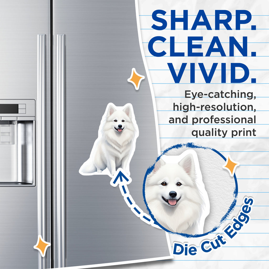 (2 Pack) Samoyed Dog Magnets - White Fluffy Canine Accent - Happy Pet Lover Decor - Refrigerator Sticker for Dog Owners - 5 Inches On Longest Side - Thick Durable Magnet - Made in USA - MAG37712