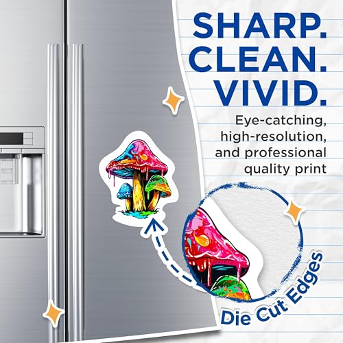 (2 Packs) Groovy Mushroom Magnets - Psychedelic Trippy Groovy Mushroom Magnets - 5 Inches On Longest Side - Premium Magnet - for Fridges, Toolboxes, Cars - Made in USA - MAG2311