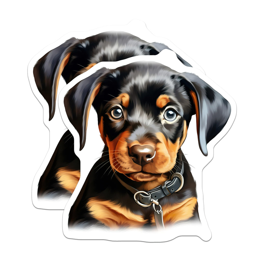 (2 Pack) Rottweiler Puppy Magnets - Cute Dog Breed Art - Pet Owner Fridge Decor - Animal Lover Collectibles - 5 Inches On Longest Side - Thick Durable Magnet - Made in USA - MAG23727