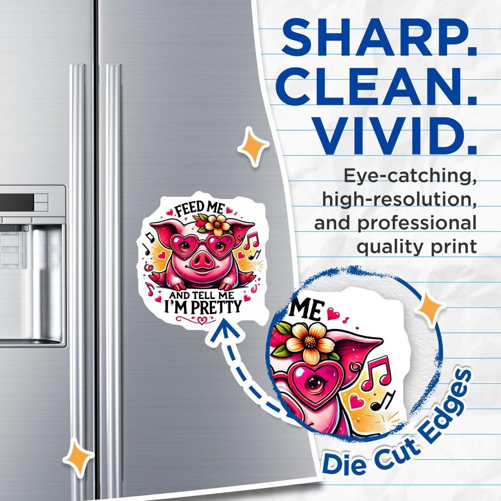 (2 Pack) Pig Magnets - Funny Animal Refrigerator Magnets - Cute Kitchen Decor - 5" On Longest Side - Premium Magnet - for Cars, Refrigerators, Toolboxes, Lockers - Made in USA - MAG15900
