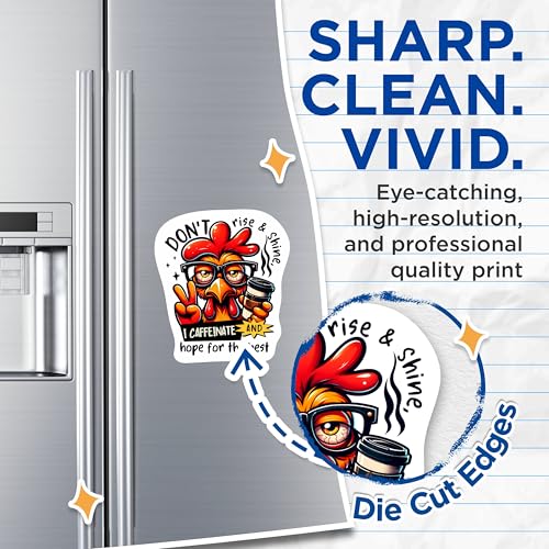 (2 Packs) Don't Rise and Shine Magnets - I Caffeinate and Hope for The Best Magnets - 5 Inches On Longest Side - Premium Magnet - for Fridges, Toolboxes, Cars - Made in USA - MAG2308