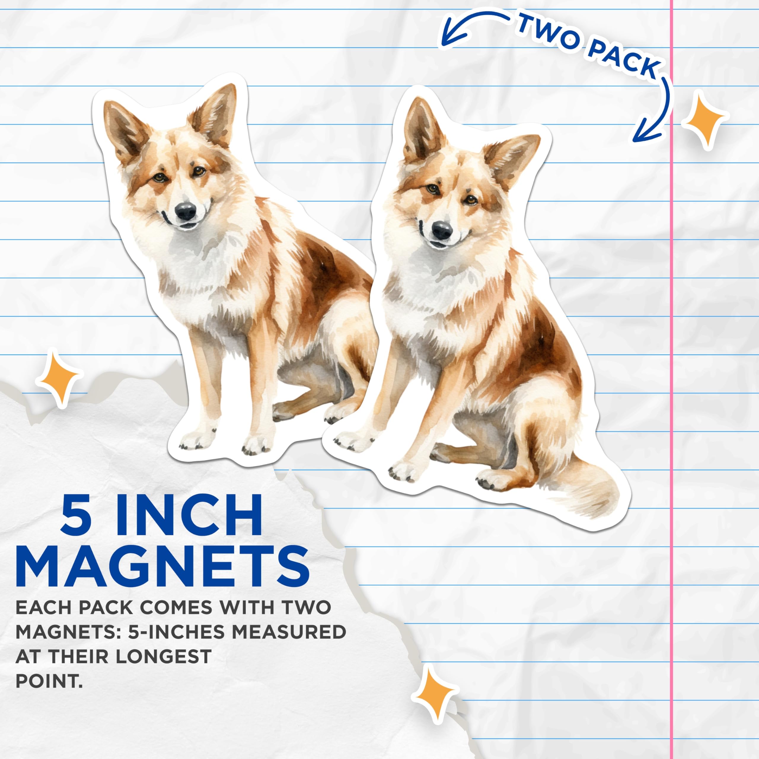 (2 Pack) Watercolor Dog Magnets - Sheltie Collie Pet Art - Dog Lover Fridge Kitchen Decor - 5 Inches On Longest Side - Thick Durable Magnet - Made in USA - MAG26187